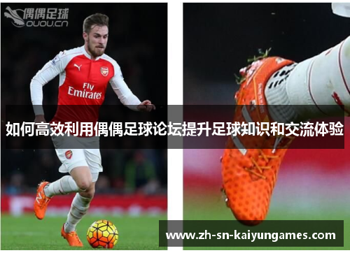 如何高效利用偶偶足球论坛提升足球知识和交流体验