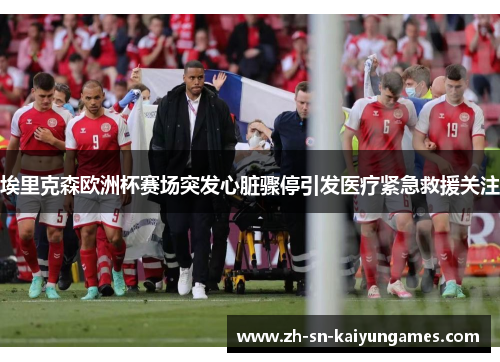 埃里克森欧洲杯赛场突发心脏骤停引发医疗紧急救援关注 埃里克森欧洲杯赛场突发心脏骤停引发医疗紧急救援关注